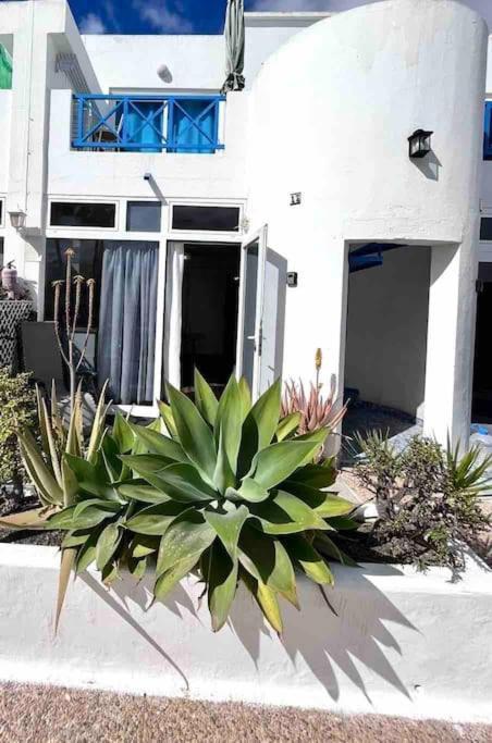 17 Puerto Del Carmen Blueshark Apartment ภายนอก รูปภาพ